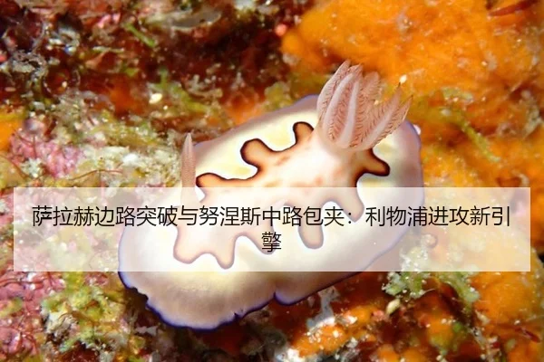 sa-la-he-bian-lu-tu-po-yu-nu-nie-si-zhong-lu-bao-jia-li-wu-pu-jin-gong-xin-yin-qing-3-330.jpg