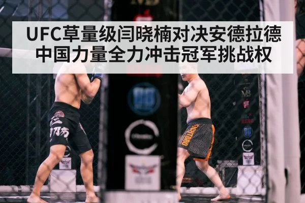 UFC草量级闫晓楠对决安德拉德 中国力量全力冲击冠军挑战权
