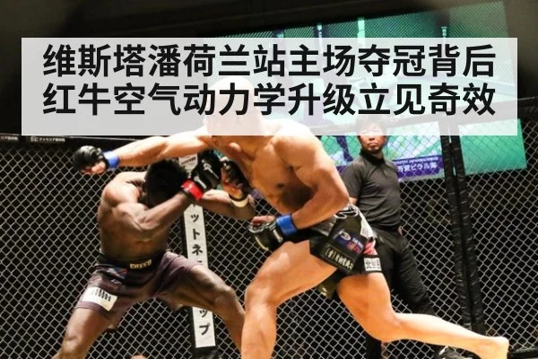 维斯塔潘荷兰站主场夺冠背后红牛空气动力学升级立见奇效